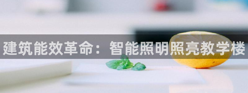 云顶集团官网登录入口网页版