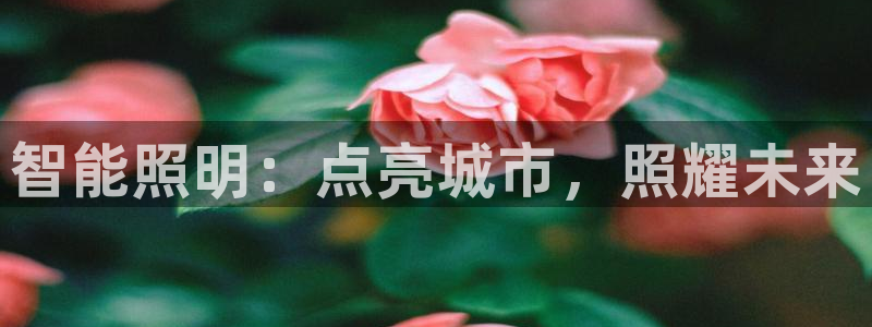 云顶国际提款不到账怎么回事
