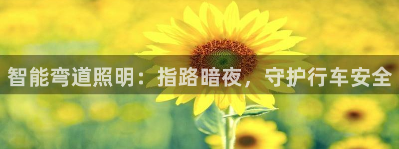 云顶国际提现多久到账啊