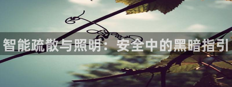 云顶国际商业广场怎么样
