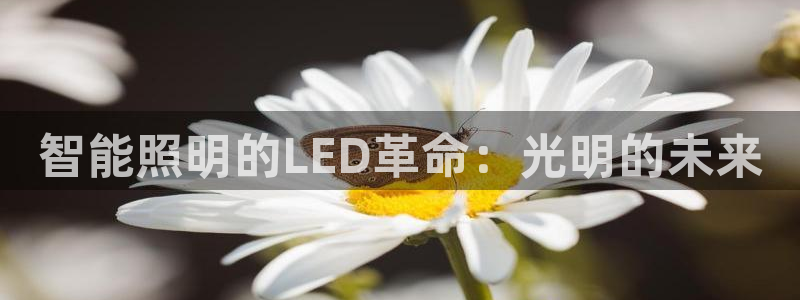 云顶国际是个什么网站