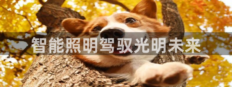 云顶国际App下载