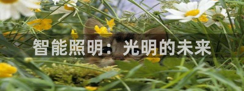 云顶手游国际