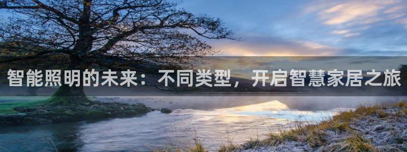 云顶国际服阵容