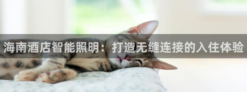 云顶国际版下载