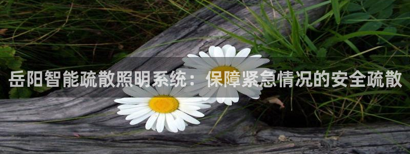 云顶国际下载地址