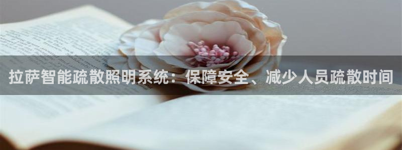 云顶集团中国公司