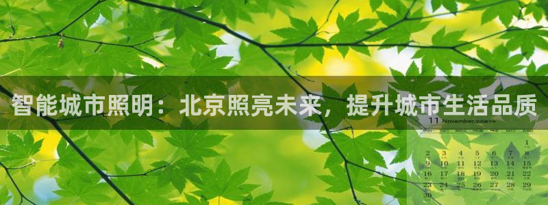 云顶集团王天才简介