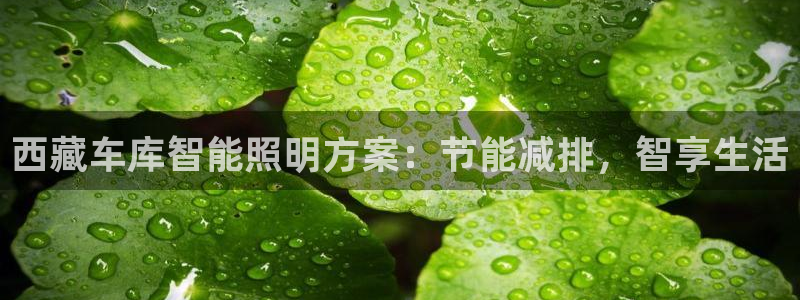 云顶国际app手机版下载安装