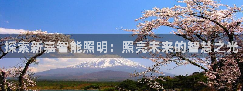 yoga云顶