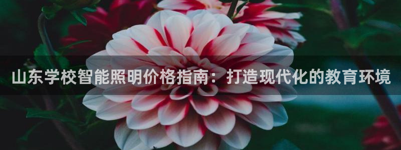 云顶集团注册送28网站