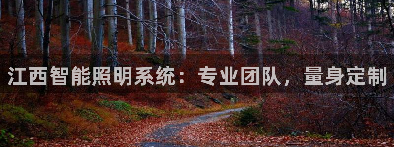 yd2333云顶电子游戏网址多少呢?