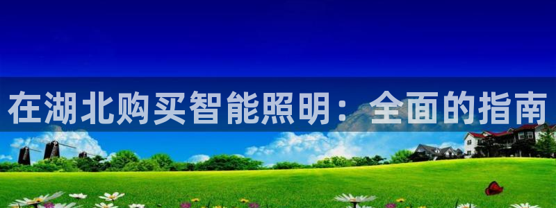 云顶控股集团有限公司