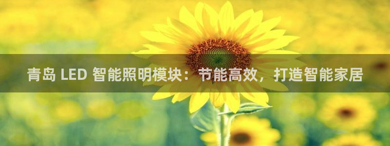 云顶国际ktv会所地址