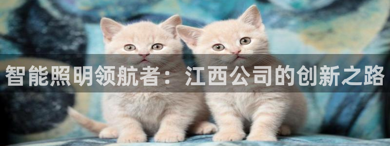 禹州云顶国际二手房