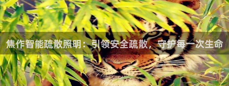 云顶国际服什么时候更新s10