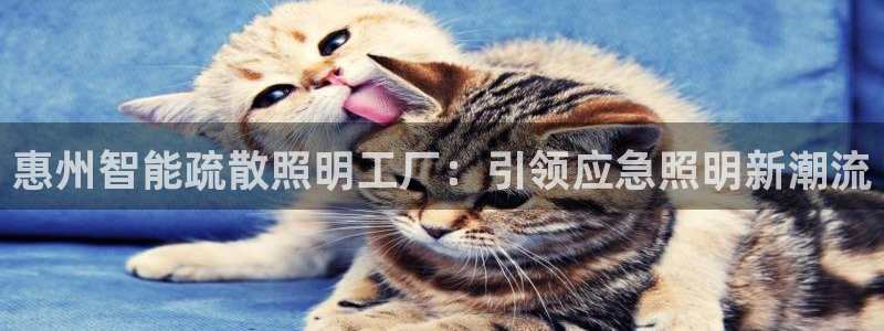 云顶国际app下载安卓