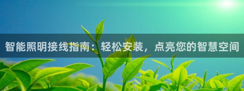 云顶国际官方网