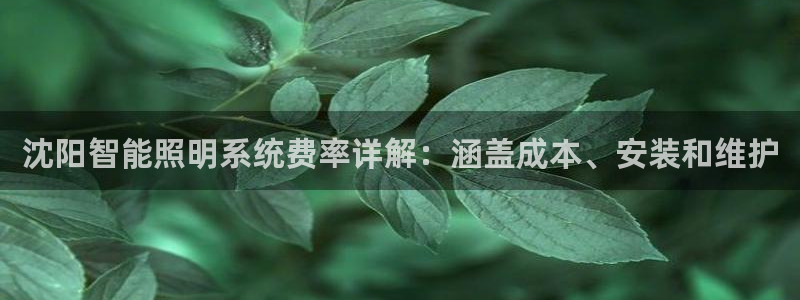 云顶国际服在哪下载
