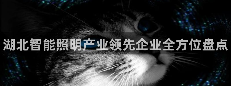 云顶集团老总简介
