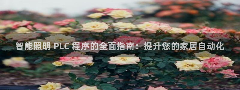 云顶国际停车费多少钱