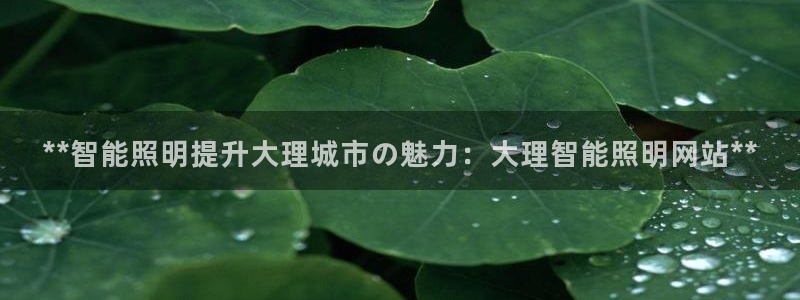 云顶国际百姓渔村怎么样