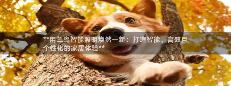 云顶国际是不是真的吗