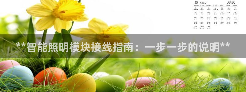 云顶集团中国区执行总裁是谁