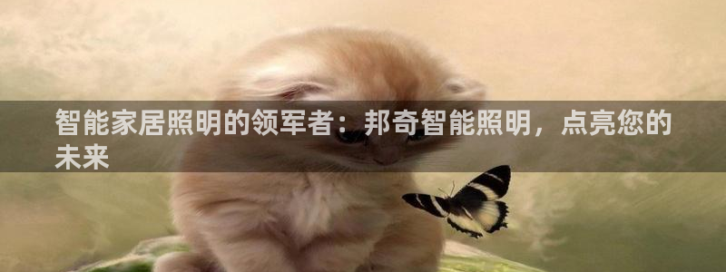云顶国际官方网站下载手游