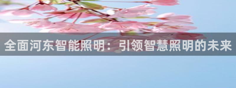 yd2333云顶电子