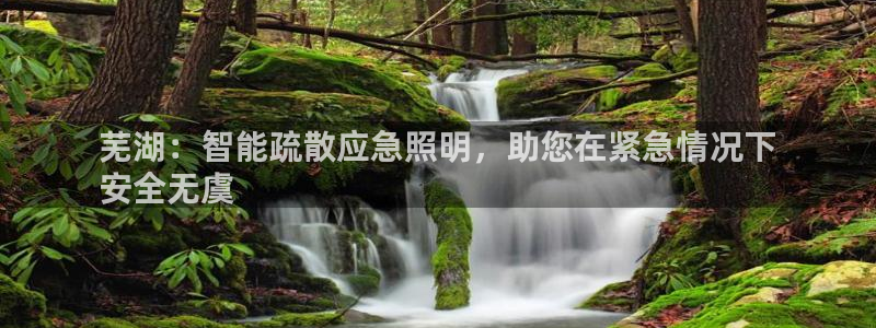 云顶2020