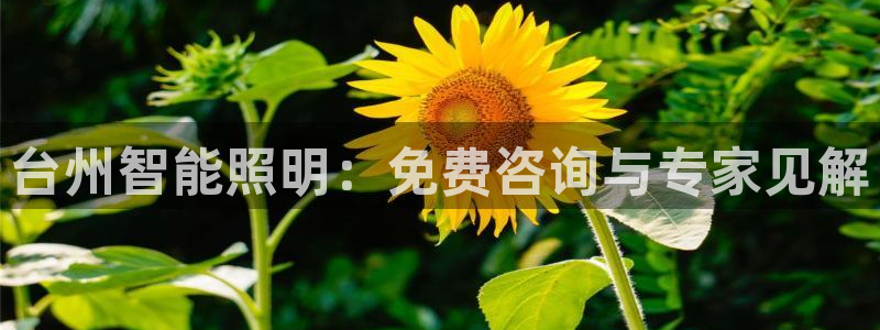 云顶集团app
