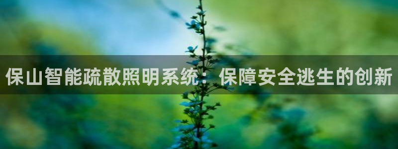 云顶国际是正规游戏吗知乎