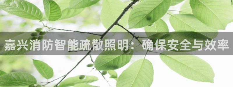 云顶国际服选哪个服务器好