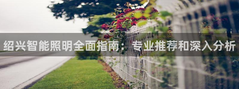 云顶国际测试服怎么进