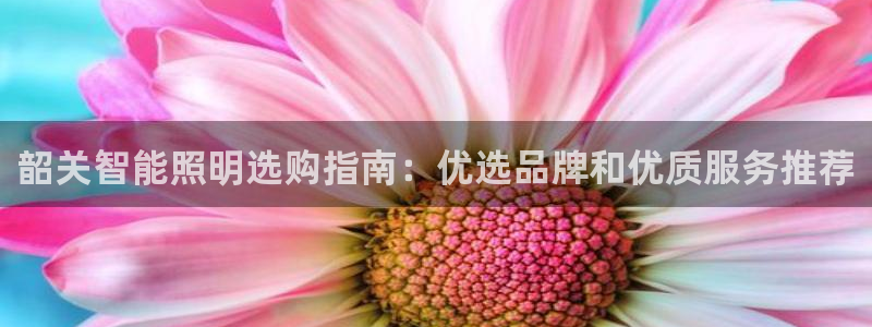 云顶yy