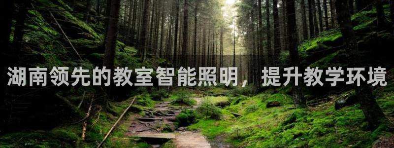 云顶国际在线购彩app