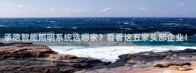 云顶国际物流