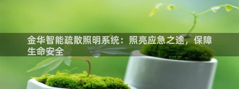 云顶国际会所怎么样