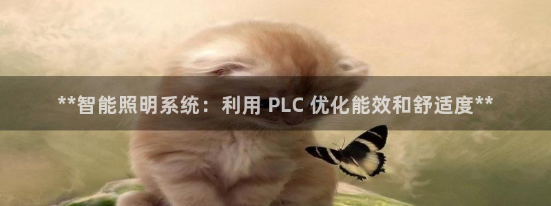 云顶网站是多少
