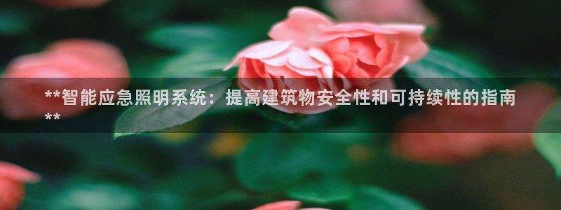 云顶国际服什么时候更新s108