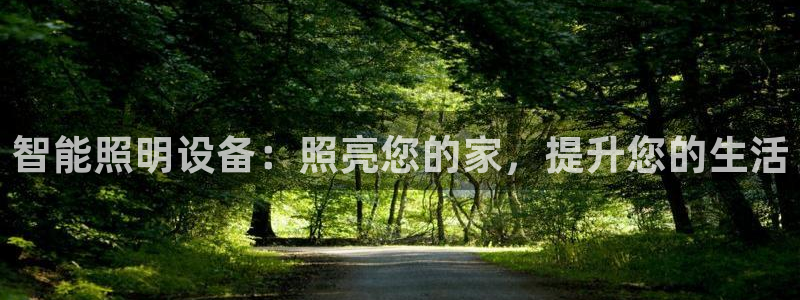 云顶国际服汉化