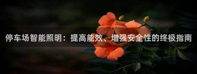 云顶集团app下载官网老版本