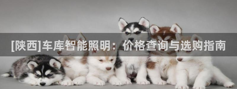 云顶国际yun588