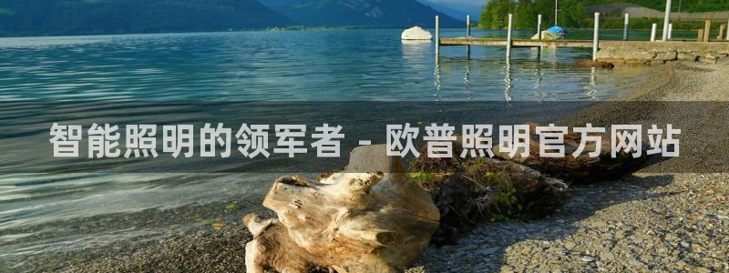 云顶国际集团开发有限公司