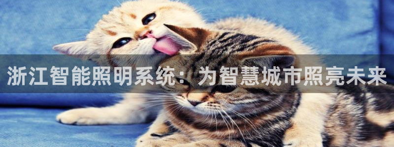 云顶国际服下面按键不灵敏