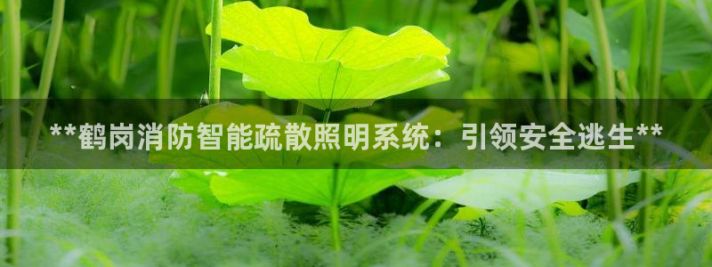 云顶国际停车费多少