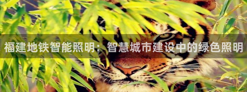 云顶国际会所是干嘛的地方