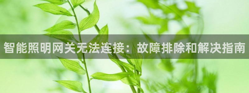 云顶国际大酒店是几星级