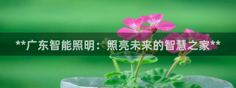 云顶国际酒店电话多少
